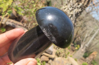 Polished Black Basalt Mushrooms x 3 From Antsirabe, Madagascar