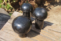 Polished Black Basalt Mushrooms x 3 From Antsirabe, Madagascar