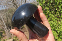 Polished Black Basalt Mushrooms x 3 From Antsirabe, Madagascar