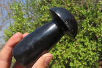 Polished Black Basalt Mushrooms x 3 From Antsirabe, Madagascar