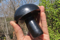 Polished Black Basalt Mushrooms x 3 From Antsirabe, Madagascar