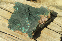 Natural Botryoidal Malachite Specimen x 1 From Kolwezi, Congo