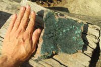 Natural Botryoidal Malachite Specimen x 1 From Kolwezi, Congo