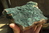 Natural Botryoidal Malachite Specimen x 1 From Kolwezi, Congo