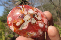 Polished Ocean Flower Agate Palm Stones x 12 From Antsahalova, Madagascar