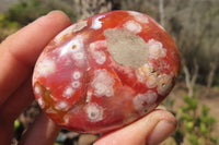 Polished Ocean Flower Agate Palm Stones x 12 From Antsahalova, Madagascar