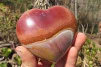 Polished Polychrome Jasper Hearts x 6 From Mahajanga, Madagascar