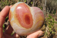 Polished Polychrome Jasper Hearts x 6 From Mahajanga, Madagascar