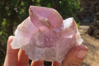 Natural Jacaranda Amethyst Clusters x 6 From Mumbwa, Zambia