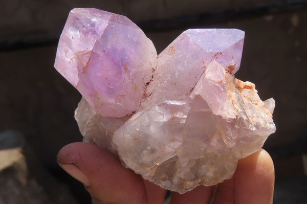 Natural Jacaranda Amethyst Clusters x 6 From Mumbwa, Zambia