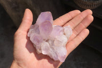 Natural Jacaranda Amethyst Clusters x 6 From Mumbwa, Zambia