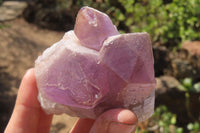 Natural Jacaranda Amethyst Clusters x 6 From Mumbwa, Zambia