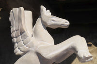 Polished White Marble Pegasus Carving x 1 From Zimbabwe