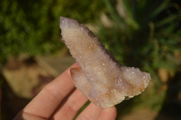 Natural Ametrine Spirit Quartz Clusters x 6 From Boekenhouthoek, South Africa