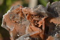 Natural Bladed Barite Specimens x 2 From Congo