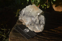 Natural Bladed Barite Specimens x 2 From Congo