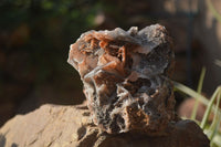 Natural Bladed Barite Specimens x 2 From Congo