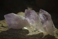 Natural Jacaranda Amethyst Single Crystals x 35 From Zambia