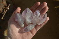 Natural Jacaranda Amethyst Single Crystals x 35 From Zambia