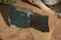 Natural Libethenite Crystals On Dolomite Matrix Specimens x 2 From Shituru, Congo