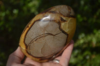 Polished Septerye Standing Free Forms x 2 From Mahajanga, Madagascar