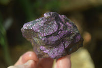 Natural Metallic Purpurite Cobbed Specimens x 12 From Erongo, Namibia