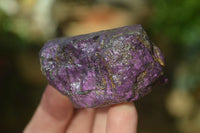 Natural Metallic Purpurite Cobbed Specimens x 12 From Erongo, Namibia