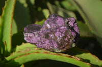 Natural Metallic Purpurite Cobbed Specimens x 12 From Erongo, Namibia