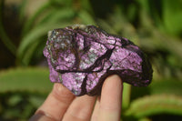 Natural Metallic Purpurite Cobbed Specimens x 12 From Erongo, Namibia