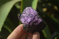 Natural Metallic Purpurite Cobbed Specimens x 12 From Erongo, Namibia