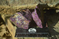 Natural Metallic Purpurite Cobbed Specimens x 12 From Erongo, Namibia