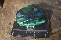 Polished Flower Banded Malachite Free Forms x 14 From Congo