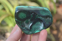 Polished Flower Banded Malachite Free Forms x 14 From Congo