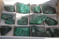 Polished Flower Banded Malachite Free Forms x 14 From Congo