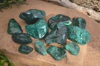 Polished Flower Banded Malachite Free Forms x 14 From Congo