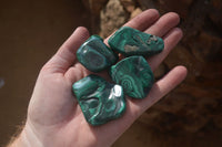 Polished Flower Banded Malachite Free Forms x 14 From Congo