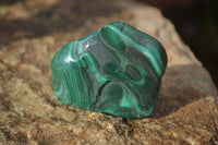 Polished Flower Banded Malachite Free Forms x 14 From Congo