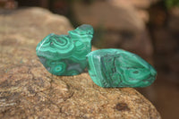 Polished Flower Banded Malachite Free Forms x 14 From Congo