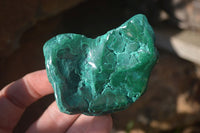 Polished Flower Banded Malachite Free Forms x 14 From Congo