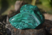 Polished Flower Banded Malachite Free Forms x 14 From Congo