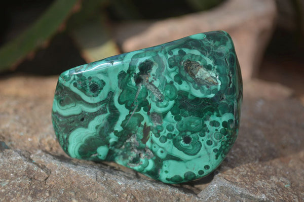 Polished Flower Banded Malachite Free Forms x 14 From Congo