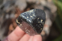 Natural Alluvial Schorl Black Tourmaline Crystals x 12 From Zimbabwe