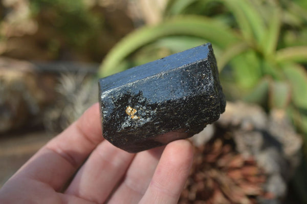 Natural Alluvial Schorl Black Tourmaline Crystals x 12 From Zimbabwe