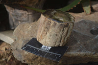 Polished Petrified Wood Branch Pieces x 3 From Gokwe, Zimbabwe