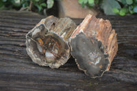 Polished Petrified Wood Branch Pieces x 3 From Gokwe, Zimbabwe