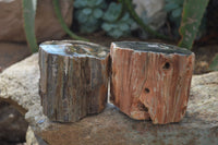 Polished Petrified Wood Branch Pieces x 3 From Gokwe, Zimbabwe