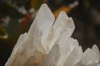 Natural Clear Quartz Clusters x 3 From Ambatofinandrahana, Madagascar