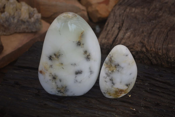 Polished Dendritic Opal Standing Free Forms x 2 From Madagascar