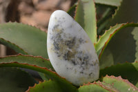 Polished Dendritic Opal Standing Free Forms x 2 From Madagascar