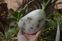 Polished Dendritic Opal Standing Free Forms x 2 From Madagascar